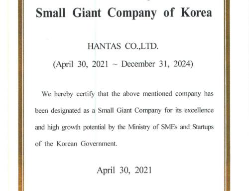 Small Giant Company